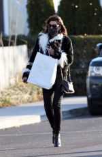 LUANN DE LESSEPS Out Shopping in New York 12/28/2020