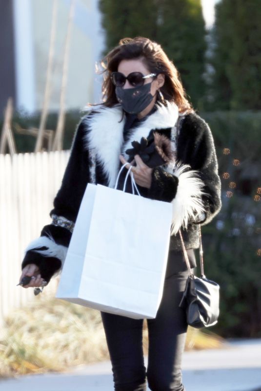 LUANN DE LESSEPS Out Shopping in New York 12/28/2020