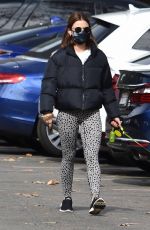 LUCY HALE Out with Her Dog Elvis in Los Feliz 01/28/2021