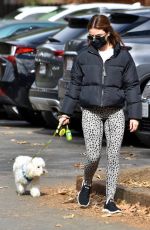 LUCY HALE Out with Her Dog Elvis in Los Feliz 01/28/2021