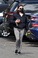 LUCY HALE Out with Her Dog Elvis in Los Feliz 01/28/2021