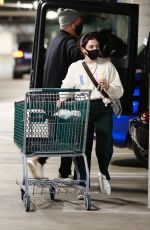 LUCY HALE Shopping at Whole Foods in Los Angeles 01/24/2021