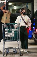 LUCY HALE Shopping at Whole Foods in Los Angeles 01/24/2021