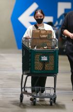 LUCY HALE Shopping at Whole Foods in Los Angeles 01/24/2021