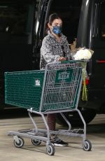 LUCY HALE Shopping at Whole Foods in Studio City 01/02/2021