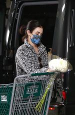 LUCY HALE Shopping at Whole Foods in Studio City 01/02/2021