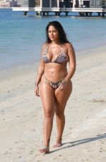 MALIN ANDERSSON in Bikini at a Beach in Dubai 01/03/2021