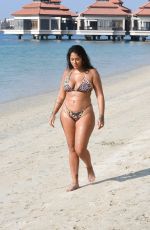 MALIN ANDERSSON in Bikini at a Beach in Dubai 01/03/2021