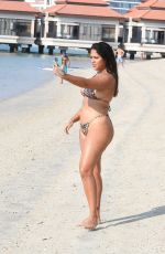 MALIN ANDERSSON in Bikini at a Beach in Dubai 01/03/2021