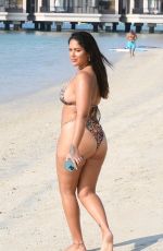 MALIN ANDERSSON in Bikini at a Beach in Dubai 01/03/2021