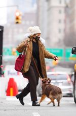 MARGARITA LEVIEVA Out with Her Dog in New York 01/05/2021