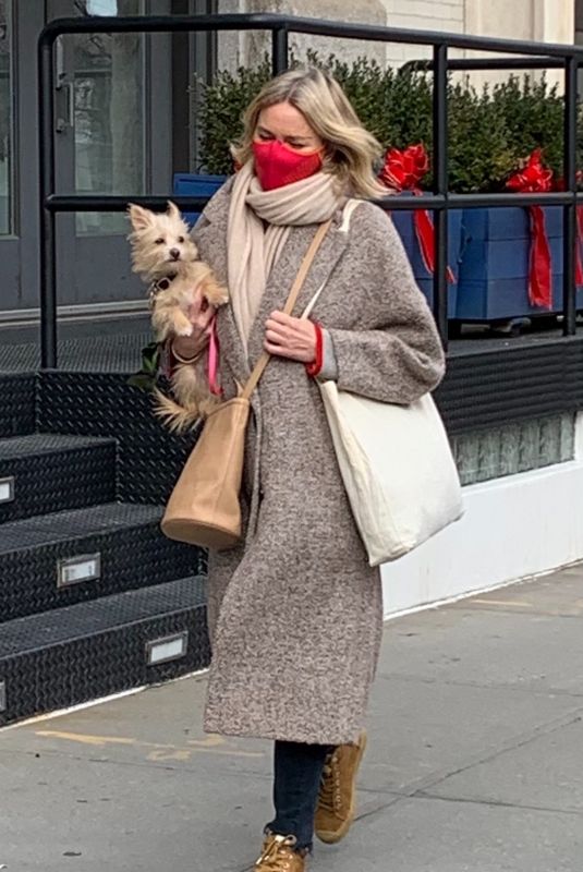 NAOMI WATTS Out with Her Dog in New York 01/22/2021
