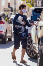 NICOLE MURPHY Out with Her Dog in Los Angeles 01/26/2021
