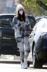 NINA DOBREV Heading to Lunch in Los Angeles 01/04/2021