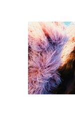 OLGA OBUMOVA for Kunst Magazine, January 2021