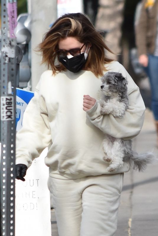 Pregnant ASHLEY TISDALE Out with Her Dog in Los Angeles 01/07/2021