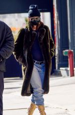 Pregnant EMILY RATAJKOWSKI and Sebastian Bear-mcclard Out with Their Dog in in New York 01/10/2021