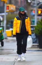 Pregnant EMILY RATAJKOWSKI and Sebastian Bear-McClard Out with Their Dog in New York 01/27/2021