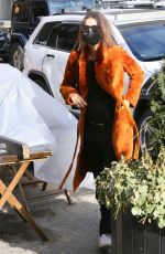 Pregnant EMILY RATAJKOWSKI and Sebastian Bear-McClard Out with Their Dog in New York 01/27/2021