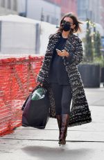 Pregnant EMILY RATAJKOWSKI Out and About in New York 01/14/2021