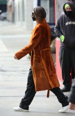 Pregnant EMILY RATAJKOWSKI Out in New York 01/27/2021