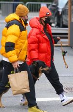 Pregnant EMILY RATAJKOWSKI Out with Her Dog in New York 01/08/2020
