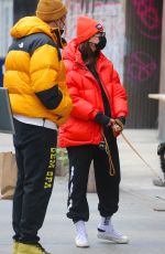 Pregnant EMILY RATAJKOWSKI Out with Her Dog in New York 01/08/2020