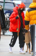 Pregnant EMILY RATAJKOWSKI Out with Her Dog in New York 01/08/2020
