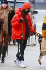 Pregnant EMILY RATAJKOWSKI Out with Her Dog in New York 01/08/2020