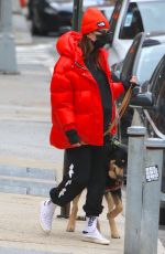 Pregnant EMILY RATAJKOWSKI Out with Her Dog in New York 01/08/2020