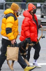 Pregnant EMILY RATAJKOWSKI Out with Her Dog in New York 01/08/2020