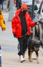 Pregnant EMILY RATAJKOWSKI Out with Her Dog in New York 01/08/2020