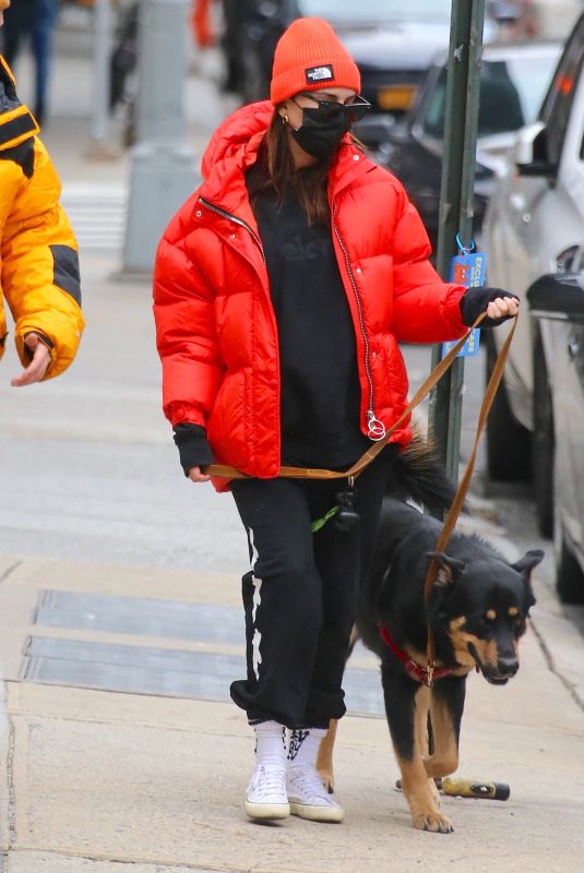 Pregnant EMILY RATAJKOWSKI Out with Her Dog in New York 01/08/2020