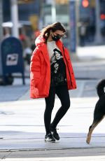 Pregnant EMILY RATAJKOWSKI Out with Her Dog in New York 01/28/2021