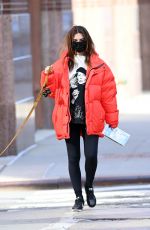 Pregnant EMILY RATAJKOWSKI Out with Her Dog in New York 01/28/2021