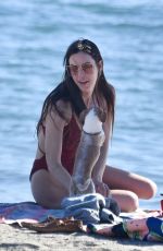SCOUT WILLIS in Swimsuit at a Beach in Malibu 01/16/2021