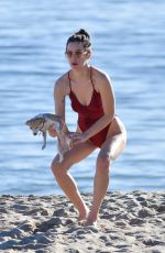 SCOUT WILLIS in Swimsuit at a Beach in Malibu 01/16/2021
