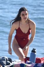 SCOUT WILLIS in Swimsuit at a Beach in Malibu 01/16/2021