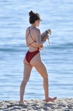 SCOUT WILLIS in Swimsuit at a Beach in Malibu 01/16/2021