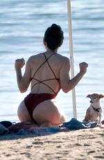 SCOUT WILLIS in Swimsuit at a Beach in Malibu 01/16/2021