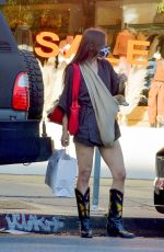 SCOUT WILLIS Out Shopping with Her Dog in West Hollywood 01/21/2021