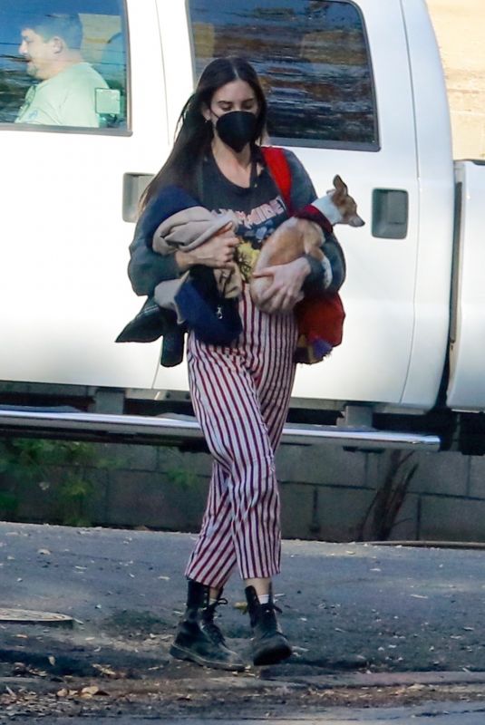 SCOUT WILLIS Out with Her Dog in Los Angeles 01/08/2021
