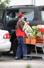 SCOUT WILLIS Shopping at Home Depot in Los Angeles 01/20/2021