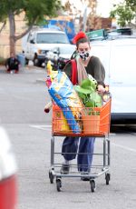 SCOUT WILLIS Shopping at Home Depot in Los Angeles 01/20/2021
