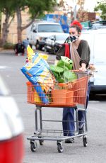 SCOUT WILLIS Shopping at Home Depot in Los Angeles 01/20/2021