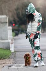 SINITTA Out with Her Dog in London 01/21/2021
