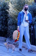 STELLA MAXWELL Out with Her Dog in Los Angeles 01/30/2021