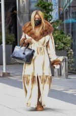 WENDU WILLIAMS Out and About in New York 01/27/2021