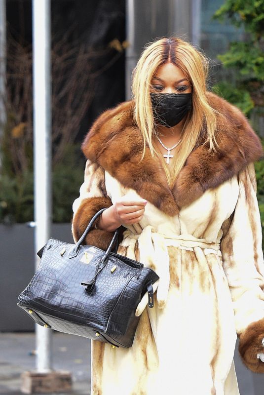 WENDU WILLIAMS Out and About in New York 01/27/2021