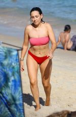 ZOE FOSTER in Bikini at Nielsen Park Beach in Sydney 01/23/2021